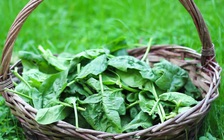 Da và tóc khỏe nhờ thực phẩm