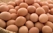 Những quan niệm sai về thực phẩm cần tránh