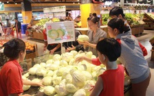 LOTTE Mart hỗ trợ 'giải cứu' bắp cải cho nông dân Lâm Đồng