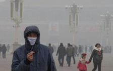 Mắc bệnh thận do ô nhiễm không khí