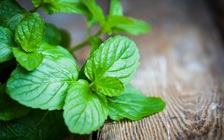 Mẹo giúp giảm buồn nôn và ói mửa