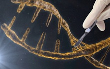 Hiểm họa tin tặc sinh học