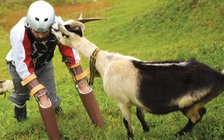 Toàn cảnh Ig Nobel 'khiến bạn cười ngặt nghẽo, kế đến phải suy ngẫm' 2016