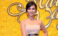 Mai vàng gắn kết khán giả với nghệ sĩ