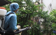 Lãnh đạo TP.HCM kiểm tra đột xuất công tác phòng chống Zika