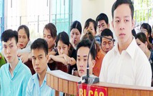 Hiểm họa từ 'cỏ Mỹ'