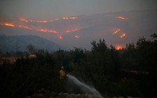 75.000 người sơ tán vì cháy rừng ở Israel
