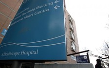 Phấn hoa khiến 6 người thiệt mạng ở Úc