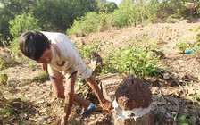 'Đào trộm đất nghĩa địa, đào luôn mộ': Làm rõ hành vi xâm phạm hài cốt