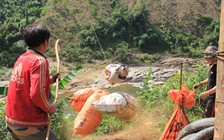 Vận chuyển cả chục tấn củ mì/ngày bằng cáp treo