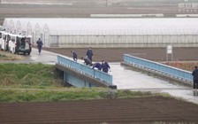 Bé gái Việt chết ở Nhật 'bị đánh vào mặt'