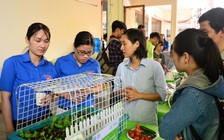 Tiến tới ĐH Đoàn toàn quốc lần thứ 11: Khơi dậy tinh thần sáng tạo khởi nghiệp