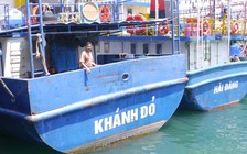 Vụ tàu cá vỏ thép liên tục hỏng: Gấp rút giải quyết kiến nghị của ngư dân