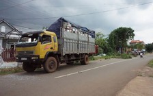 Phụ mẹ bán hàng, trên đường về hai chị em ruột bị xe tải tông tử vong