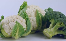 Để diệt u ác, hãy ăn bông cải xanh, súp lơ