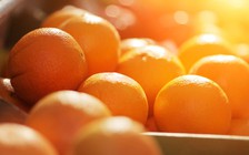 Vitamin C giúp ngăn ngừa ung thư máu?