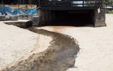 Phạt công ty xả nước thải nguy hại ra môi trường 310 triệu đồng