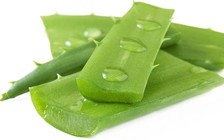 Lợi ích tuyệt vời của lô hội đối với sức khỏe và sắc đẹp