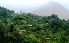 Những tỉ phú dưới chân Ngọc Linh