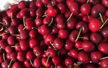 Cherry sẽ không còn 'sang chảnh'