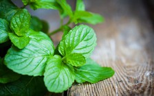 8 loại thực phẩm giúp bạn bớt thèm ăn để giảm cân