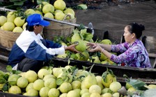 Nhiều mặt hàng nông sản xuất khẩu lập kỷ lục