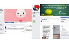 Đào tạo tại chức vẫn bát nháo