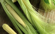 10 lợi ích tuyệt vời của râu bắp khiến bạn bất ngờ