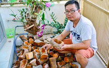 Khởi nghiệp từ làm chậu cây bằng gỗ