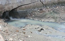 Sông Cà Ty bị ô nhiễm nghiêm trọng