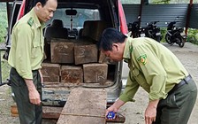 Ô tô 7 chỗ chở gỗ lậu