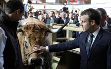 Pháp nỗ lực ngăn Trung Quốc mua đất nông nghiệp