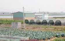 Nông nghiệp công nghệ cao 'khát' đất sạch