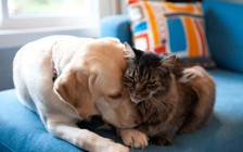 9 điều trong ngôi nhà mang lại niềm vui cho bạn