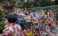 Niềm tin và kinh tế chia sẻ