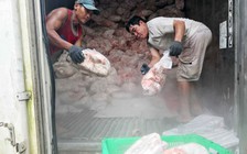 TP.HCM bắt đầu Tháng hành động vì an toàn thực phẩm