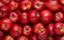 Công bố mới về thực phẩm cho bệnh nhân tiểu đường