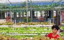 Mở quán cà phê bán... rau sạch