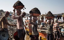 Sự lộng hành của mafia cát