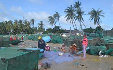 Nuôi tôm hùm bằng vật liệu mới