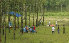 Đào thi thể rồi chôn lại trong vườn cao su hàng xóm để giá họa