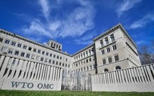 G20 kêu gọi cải cách khẩn cấp WTO