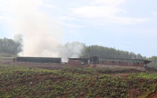 Sống khổ bên nhà máy sấy cau ở Quảng Nam