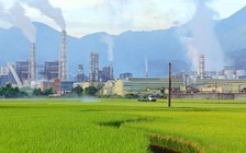 Muốn giảm lượng khí thải, hãy... ăn ít thịt bò