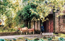 Quê hương qua ống kính nhiếp ảnh nữ TP.HCM