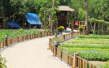 Khu nghỉ dưỡng 'chui' trong rừng phòng hộ