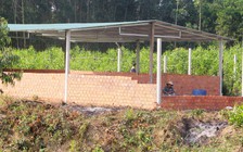 Ồ ạt xây nhà trái phép chờ... đền bù!