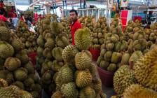 Thái Lan đặt hàng cơ quan ngoại giao tiếp thị trái cây