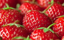 7 loại 'siêu thực phẩm' dành cho nam giới