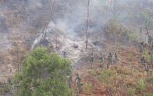 Đề nghị dùng máy bay không người lái giám sát cháy rừng